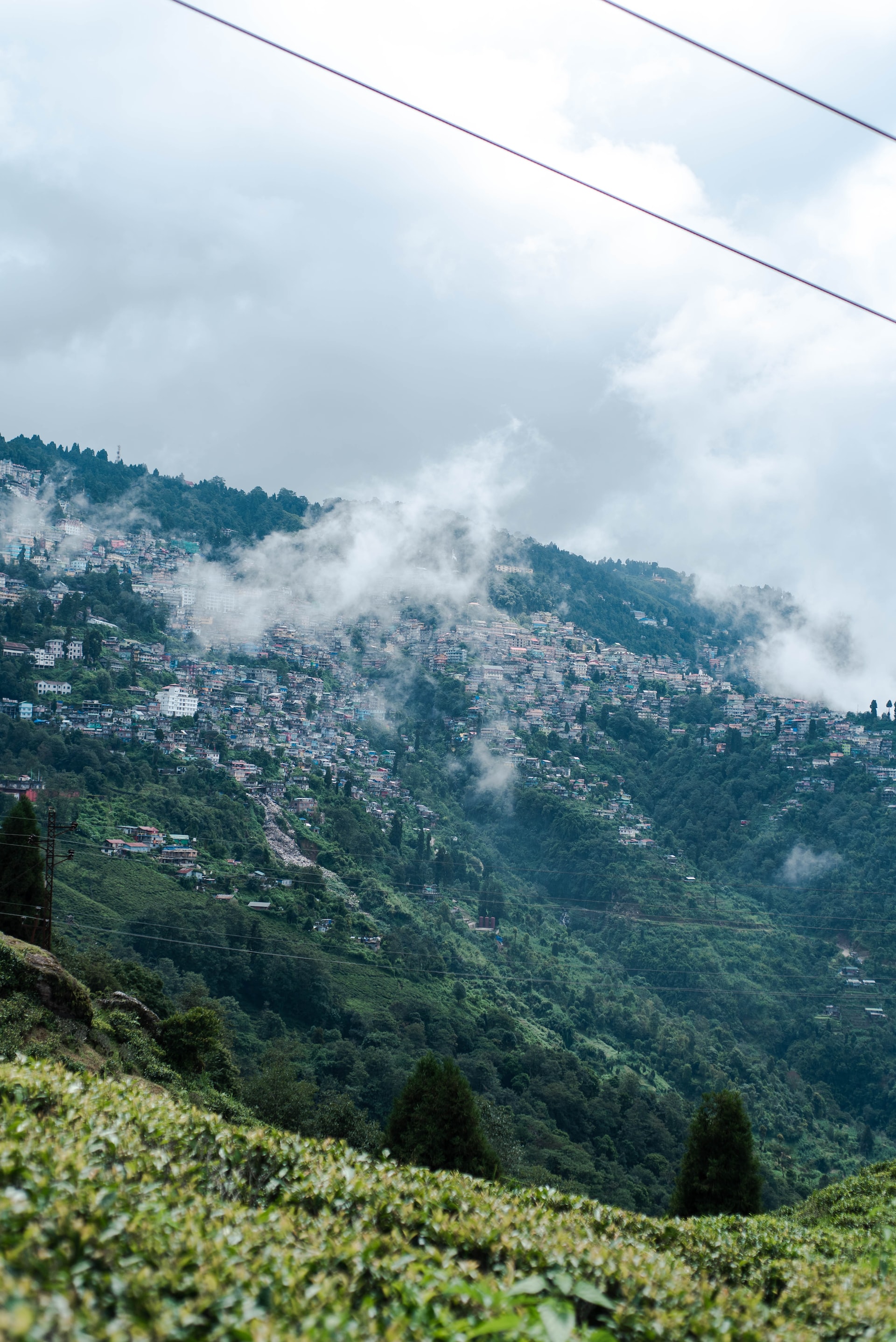 manali1
